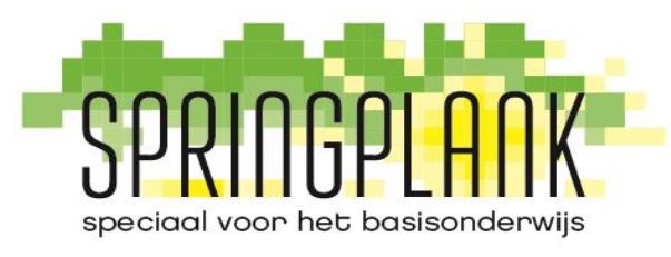Logo Springplank